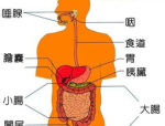 爆笑虫子故事在线听免费,欢乐陪伴宝宝成长