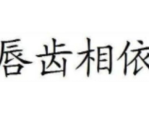 唇齿相依小说,命运交织的生死恋曲