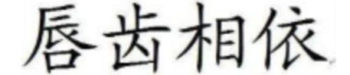 唇齿相依小说,命运交织的生死恋曲
