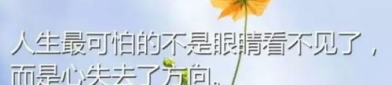 人生感悟经典语录,经典语录中的智慧之光