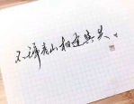 提字开头的成语,成语中的智慧结晶