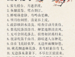 佳句积累大全100句,百句经典语句的智慧结晶