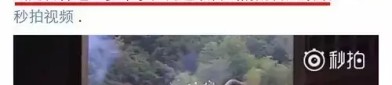 ）？蓝莓直播间7000tv及文娱圈1天曝8瓜招认恋情诽谤被拘系抵赖偷盗…堪称瓜田盛宴及51cg吃瓜明星黑料（丛林北被曝妊娠已预订68万VIP产房！53岁汪峰第五次跳级当爸