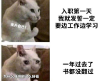 欧美干净的头像,欧美风格干净头像精选集