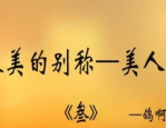 千里来相会打一字,一“缘”相会——探寻“缘”字的魅力与人生哲理”